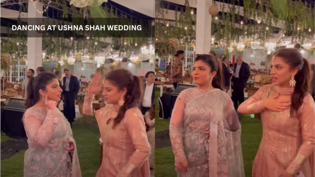 Dananeer dancing at ushna shah wedding viral